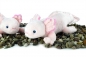 Preview: Axolotl 28 cm